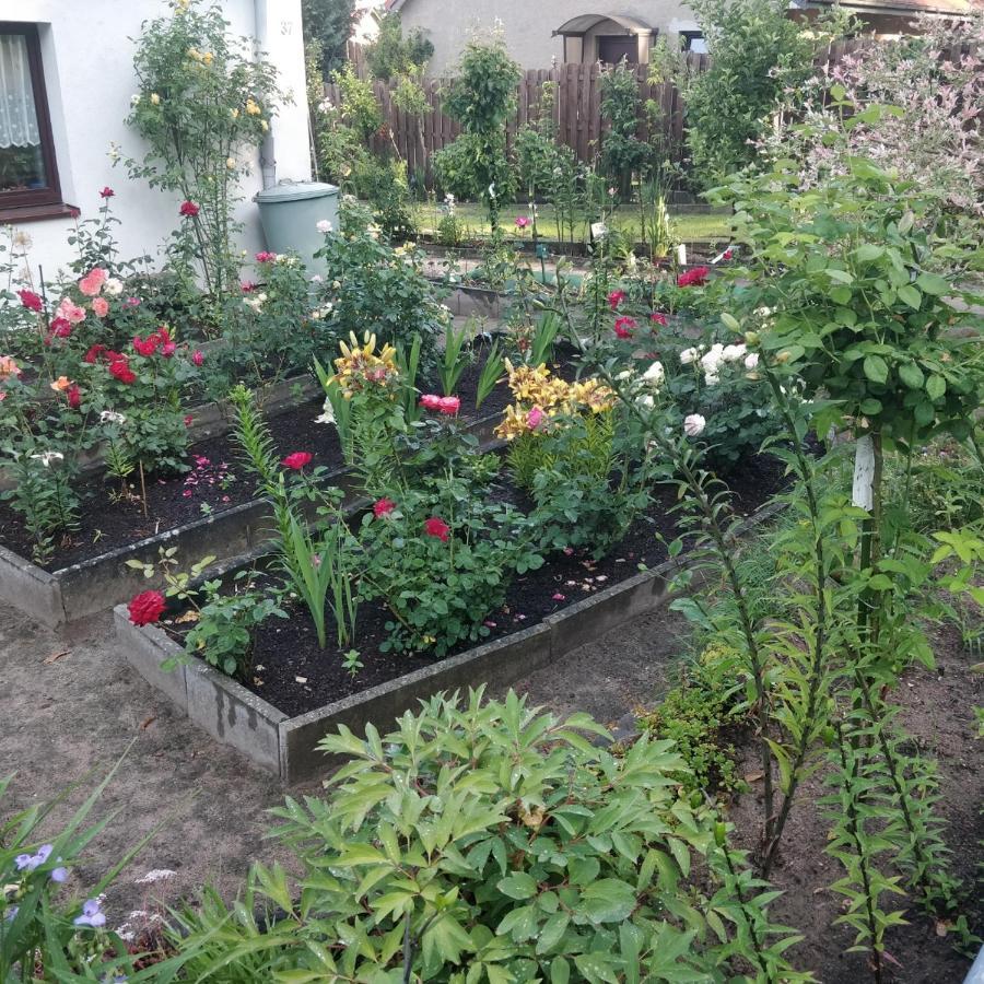 Gaestehaus Am Teich Raben Steinfeld ภายนอก รูปภาพ